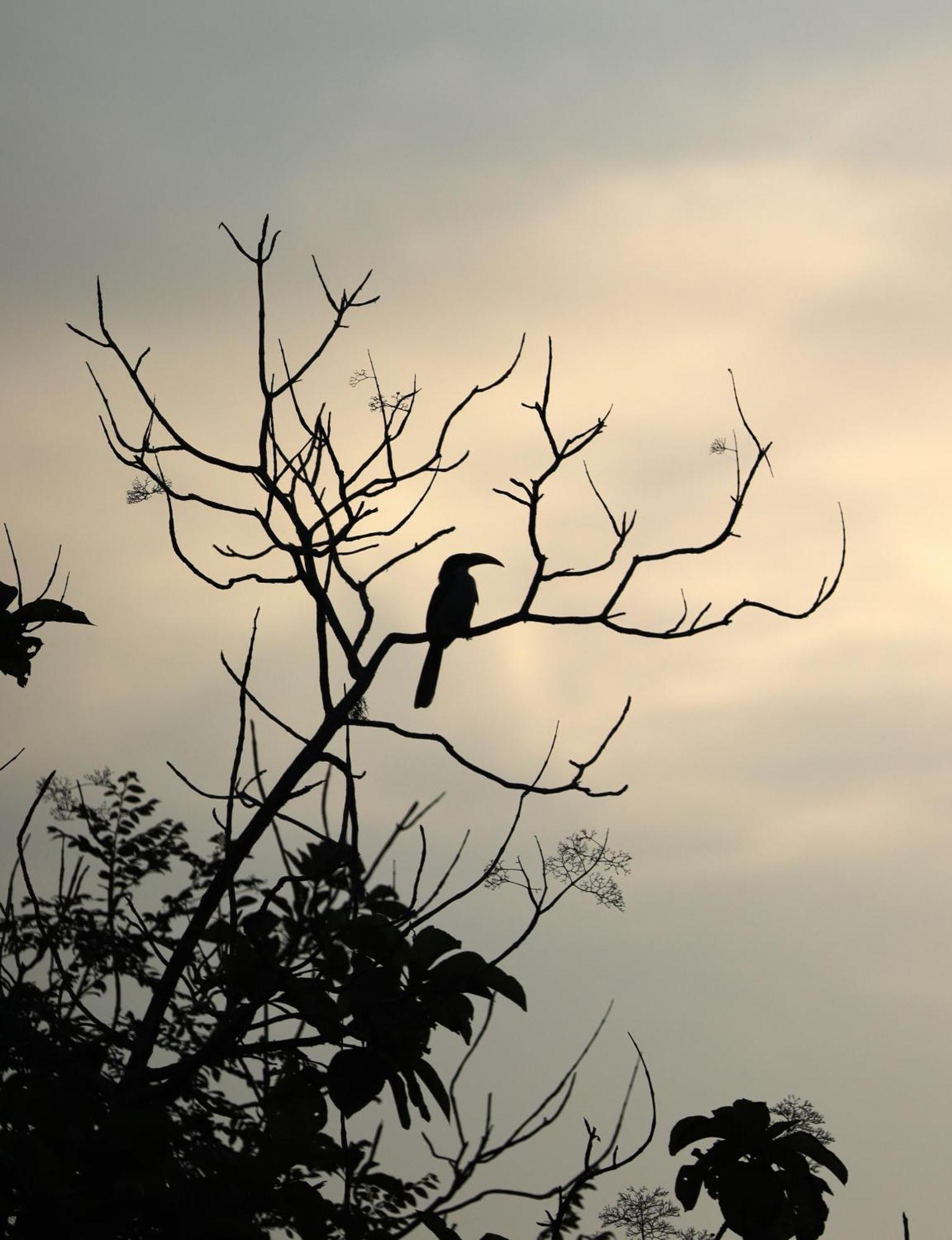Three Little Birds Hotel Tangalle Exterior photo
