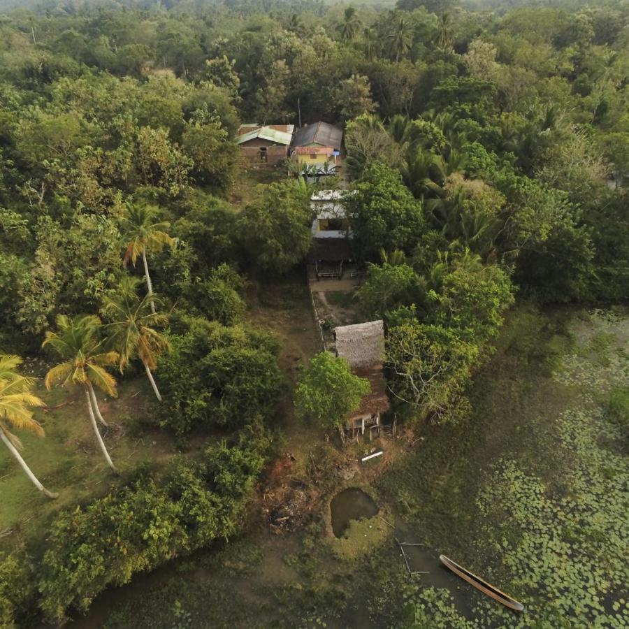 Three Little Birds Hotel Tangalle Exterior photo